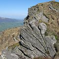 Bieszczady Wschodnie - w partii podszczytowej Pikuja.