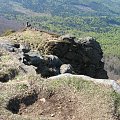 Bieszczady Wschodnie - partie podszytowe Pikuja.