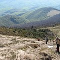 Bieszczady Wschodnie - w drodze ku szczytowi Pikuja.