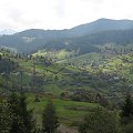 Bieszczady Wschodnie - z drogi z Trościana ku dolinie rzeki Opór.