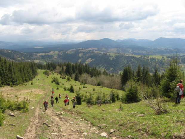 Bieszczady Wschodnie - spod Czarnej Repy, spojrzenie w kierunku Gorganów.