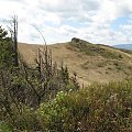 Bieszczady Wschodnie - gdzieś na grani pomiędzy Starostyną i Użokiem.