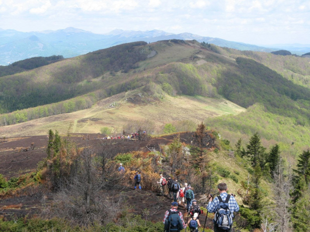 Bieszczady Wschodnie - gdzieś na grani pomiędzy Starostyną i Użokiem.