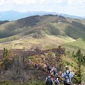 Bieszczady Wschodnie - gdzieś na grani pomiędzy Starostyną i Użokiem.