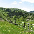 Bieszczady Wschodnie - w okolicy Użoku, spojrzenie w tył, ku pasmu połonin.