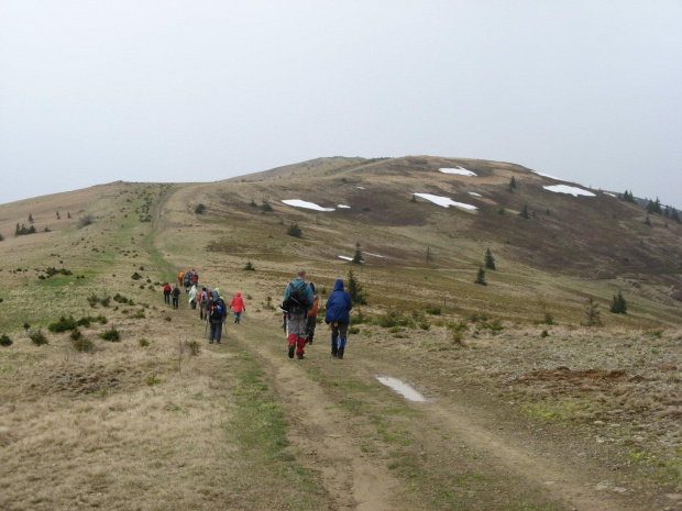 Bieszczady Wschodnie - Czarna Repa, ostatni ku wschodowi wybitniejszy szczyt w grani głównej Bieszczad /1288m/.