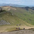 Bieszczady Wschodnie - na połoninnej grani ze Starostyny ku Użokowi.