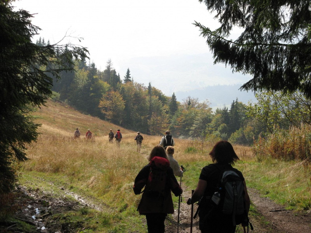 Bieszczady Wschodnie - w drodze z Trościana, przez Orszowiec ku Tarnawce.