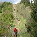 Bieszczady Wschodnie - z drogi ku Czarnej Repie.