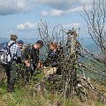 Bieszczady Wschodnie - na grani w majowym słońcu