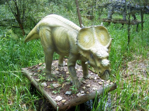 Dinozatorland 30.06.2011