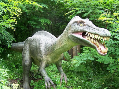 Dinozatorland 30.06.2011