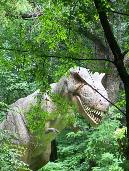 Dinozatorland 30.06.2011