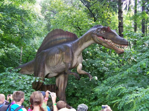 Dinozatorland 30.06.2011