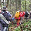 Bieszczady Wschodnie - z przejscia po trasie Skole - Paraszka.