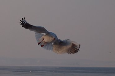 Zima w Rewie #Rewa #morze #widoki #zima