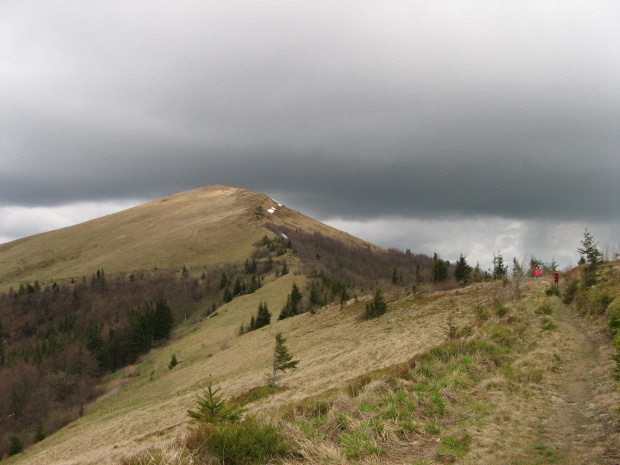 Bieszczady Wschodnie - Paraszka, najwyższy szczyt tzw. Beskidów Skolskich.