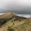 Bieszczady Wschodnie - Paraszka, najwyższy szczyt tzw. Beskidów Skolskich.