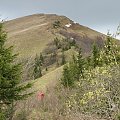 Bieszczady Wschodnie - Paraszka, najwyższy szczyt grupy górskiej wokół Skola.