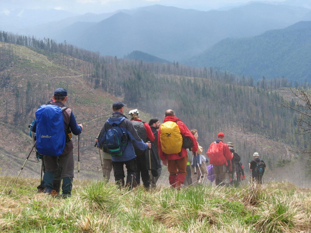 Bieszczady Wschodnie - z drogi powrotnej z Paraszki.