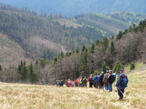 Bieszczady Wschodnie - z drogi powrotnej z Paraszki.