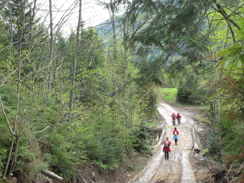 Bieszczady Wschodnie - z drogi powrotnej z Paraszki.