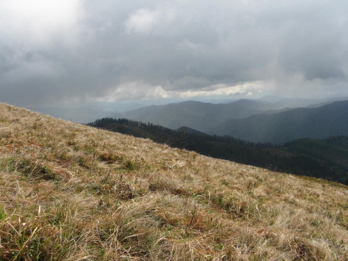 Bieszczady Wschodnie - z drogi powrotnej z Paraszki.