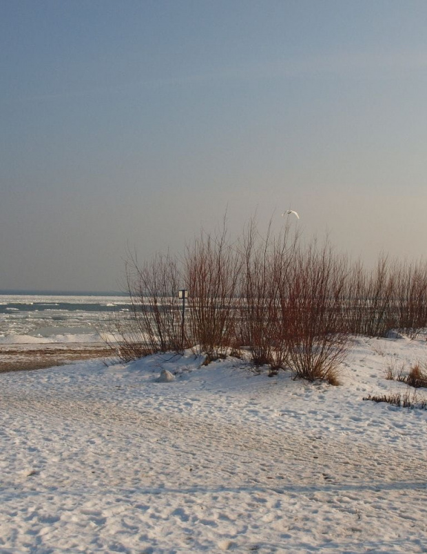 Zima w Rewie #Rewa #morze #widoki #zima