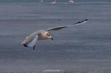 Zima w Rewie #Rewa #morze #widoki #zima