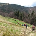 Bieszczady Wschodnie - z drogi powrotnej z Paraszki.