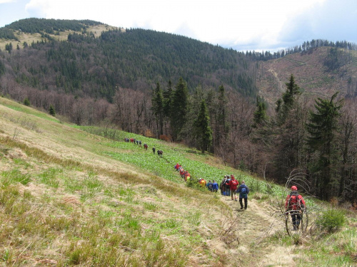 Bieszczady Wschodnie - z drogi powrotnej z Paraszki.