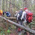 Bieszczady Wschodnie - z przejścia po trasie Skole - Paraszka.