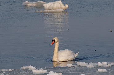 Zima w Rewie #Rewa #morze #widoki #zima