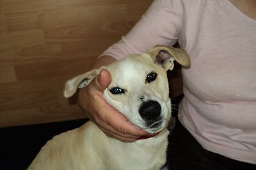 On jest wspaniały!!! #choroba #pies #walka