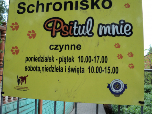 bezdomne pieski szukają Człowieka!