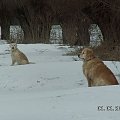 Ja się przez te zaspy nie przeprawię więc wracamy