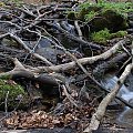 Bieszczady, góry, plener #Bieszczady #góry #plener