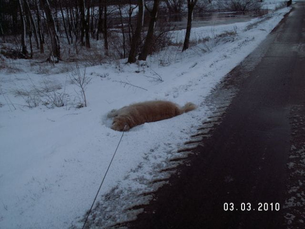 lady przedkłada kapiele w tym biały nad gorący prysznic