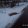 lady przedkłada kapiele w tym biały nad gorący prysznic