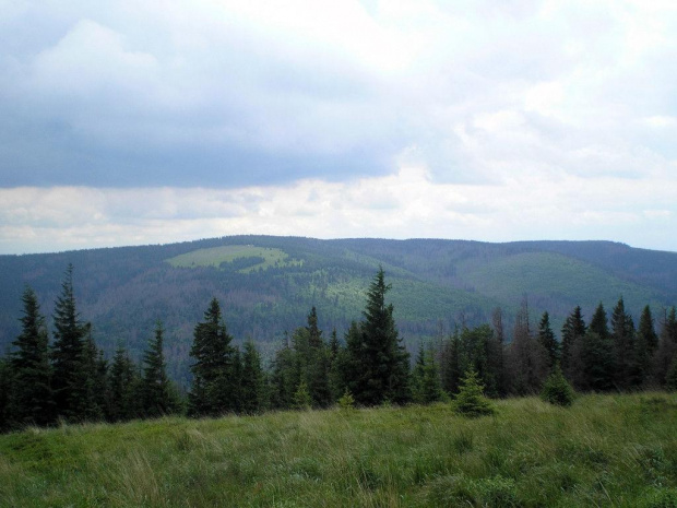 Jaworzyna Kamienicka (szczyt i polana) z polany Pustak pod Kudłoniem #góry #beskidy #gorce #kudłoń