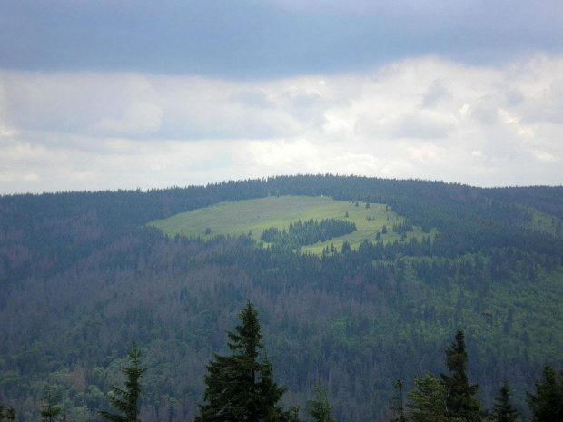 Polana Jaworzyna Kamienicka z polany Pustak pod Kudłoniem #góry #beskidy #gorce #kudłoń