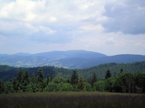 Ćwilin i za nim Śnieżnica no i jeszcze Ciecień z polany Kopa #góry #beskidy #gorce #kudłoń