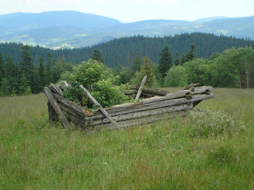 Resztki szałasu na polanie Kopa. A na tablicy informacyjnej piszą, że ma unikalny czterospadowy dach :D #góry #beskidy #gorce #kudłoń