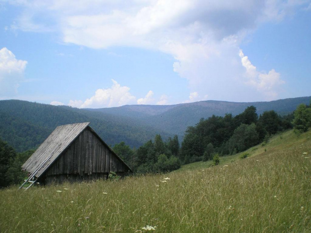 Jaworzyna Kamienicka i Kiczora z polany Zoniowskie przy szlaku Ochotnica Górna Jamne - Przysłop #góry #beskidy #gorce #przysłop