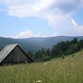 Jaworzyna Kamienicka i Kiczora z polany Zoniowskie przy szlaku Ochotnica Górna Jamne - Przysłop #góry #beskidy #gorce #przysłop