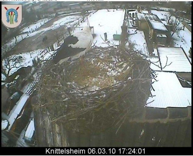 Knittelsheim/de