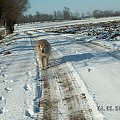 Autostrada słońca też wygląda ślicznie