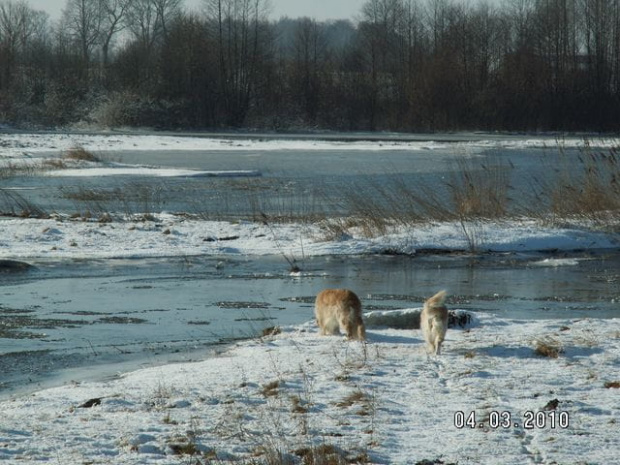 dziewczyn ki sprawdzają tendencje przyboru wody