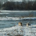 dziewczyn ki sprawdzają tendencje przyboru wody