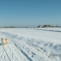 Wracamy z porannego spaceru ale Corsa musi trochę poczekać